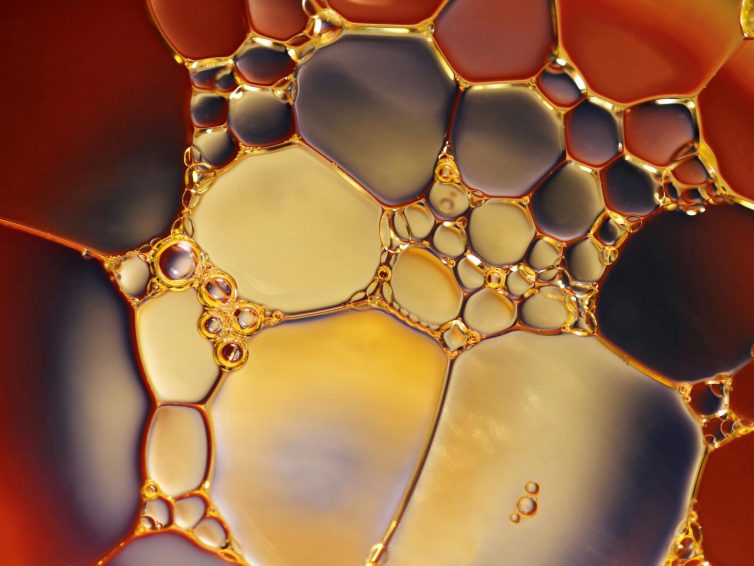 Mehr Verantwortung bei den Studierenden? EXPM FS26