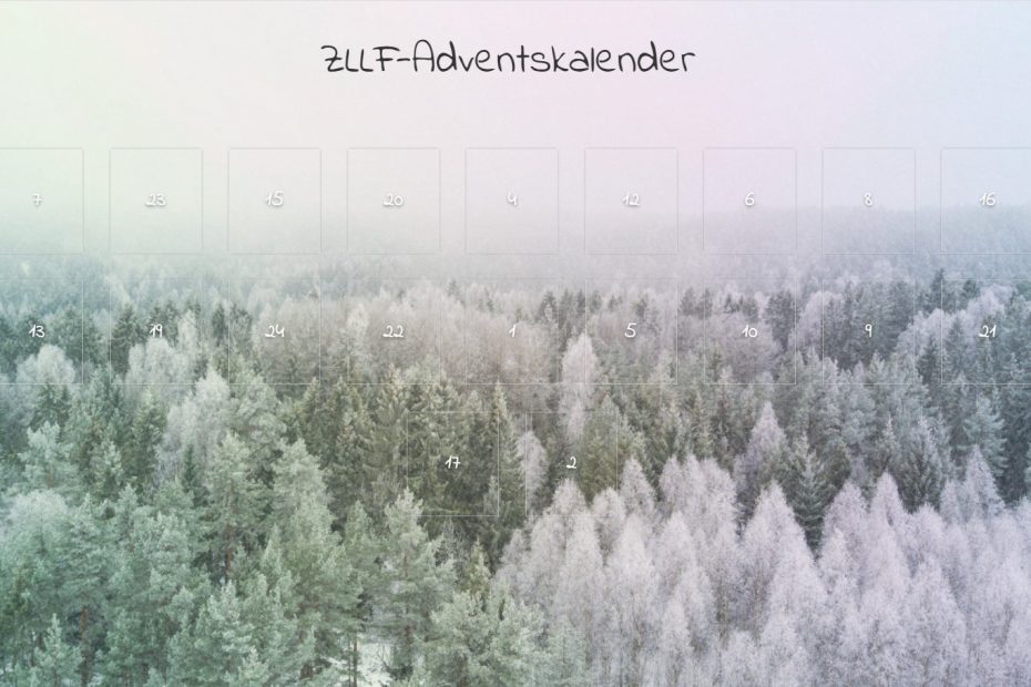 verschneiter Winterwald als Hintergrund des ZLLF Adventskalenders mit 24 Türchen