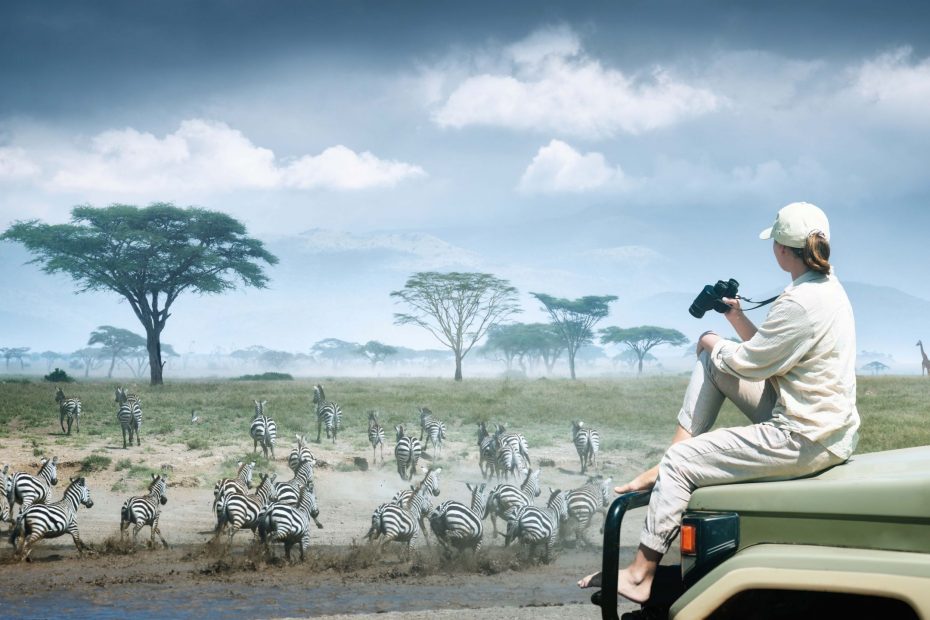 Frau sitzt auf einem Jeep und beobachtet Zebras wie bei einer Safari