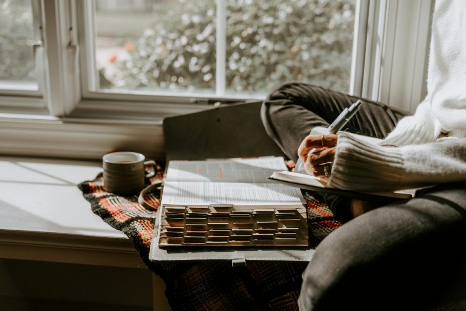 am Fenster sitzend studieren