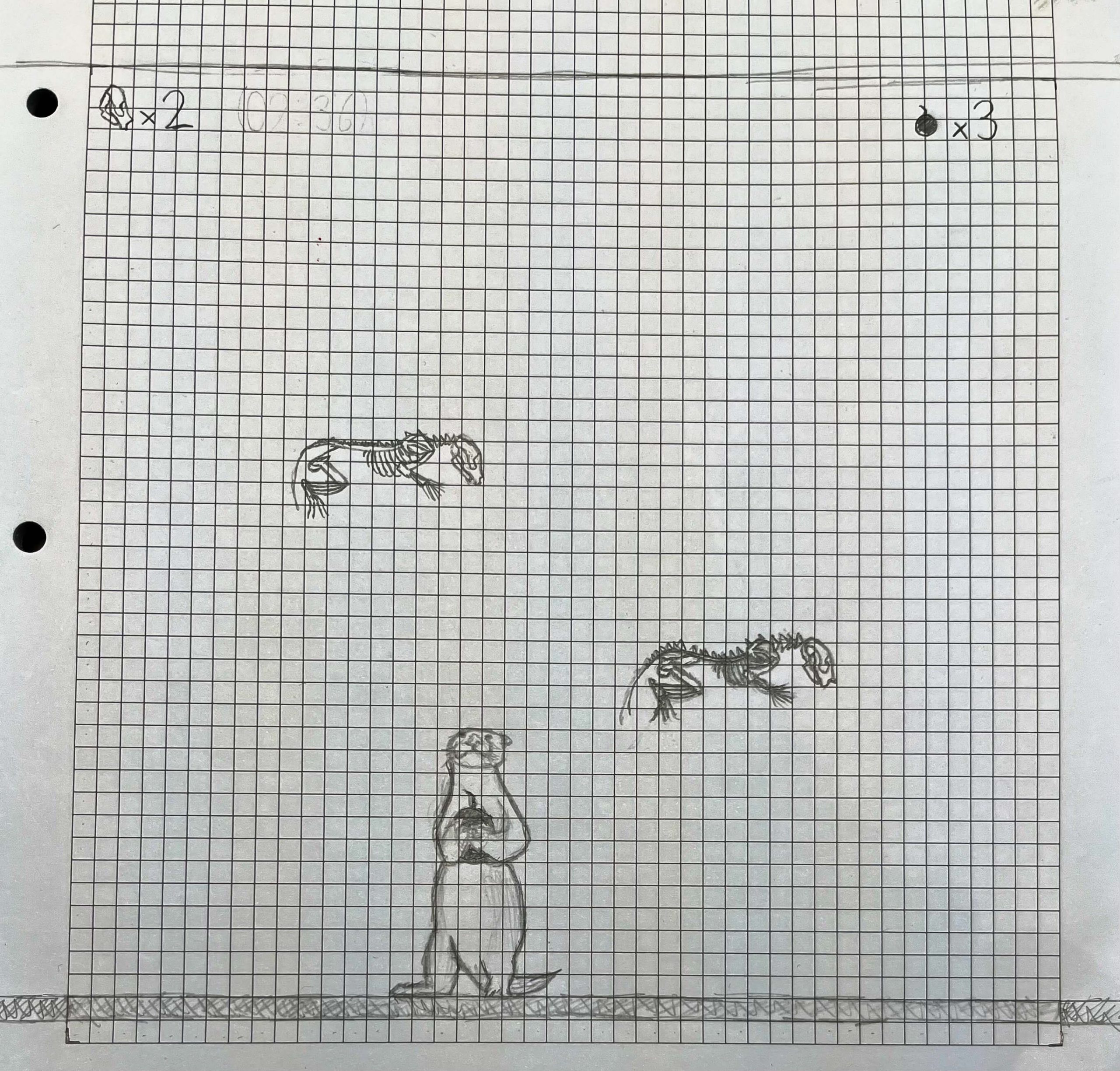 Otter Slaughter – Woche 1