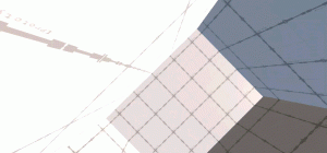 forced gravity field