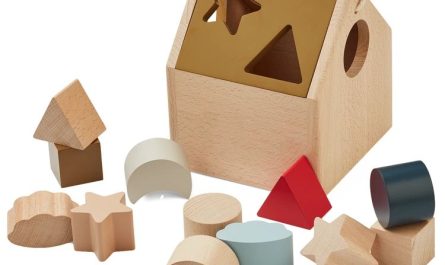 Holzklötze müssen den richtigen Aussparungen zugeordnet werden