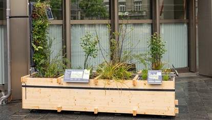 Prävention im Versicherungswesen: Schwammstädte als Antwort auf den Klimawandel