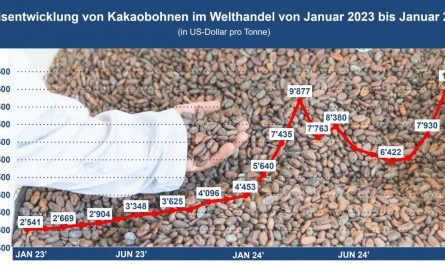 Preisentwicklung von Kakaobohnen im Welthandel von Januar 2023 bis Januar 2025 (in US-Dollar pro Tonne)
