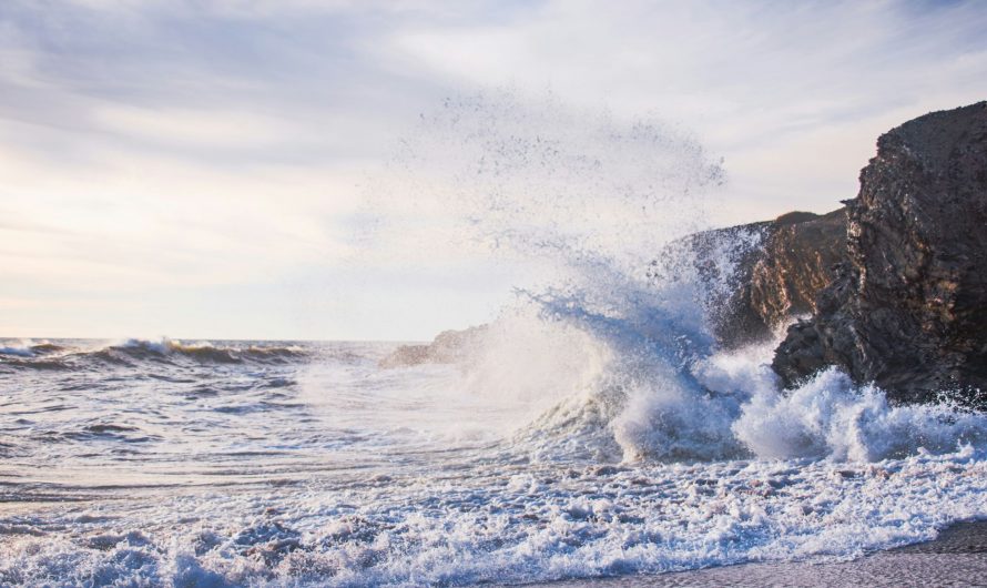 Mehr als nur Krisenfestigkeit: Resilienz auf unterschiedlichen Ebenen