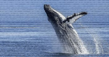 How Big is Big Data?