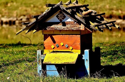 Use technology and analytics to understand the honey bees