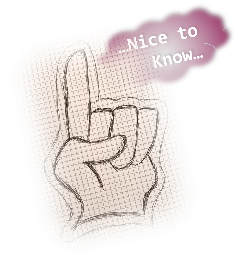 Hebenden Finger "Nice to Know" (Bild: Mirco Schorr)