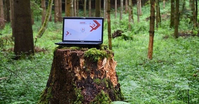 Der digitale Wald