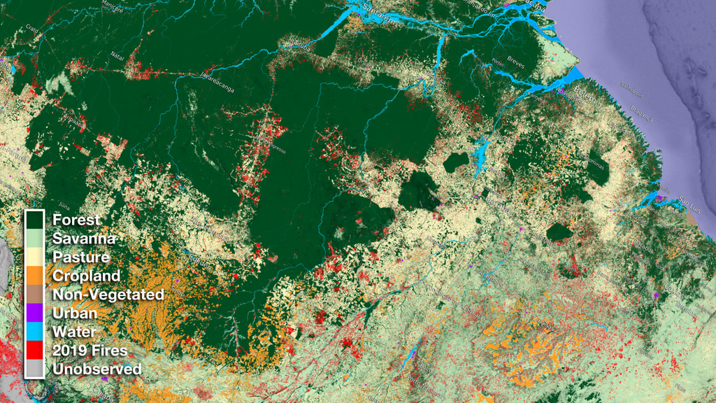 Nutzung von Satellitendaten zur Identifikation von Landnutzungsveränderungen in Nordbrasilien im Zeitverlauf. (Bildquelle: NASA Scientific Visualization Studio)