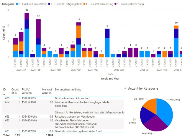 Beispiel Auswertung einer Störungsliste