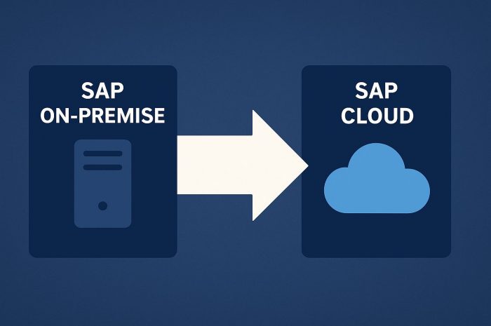 SAP Cloud: Abhängigkeit als Risiko oder strategische Chance?