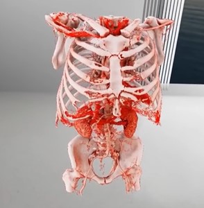 VR-Ansicht eines Torso