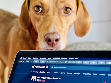 Prognosemärkte machen kollektive Intelligenz so handelbar wie eine Aktie