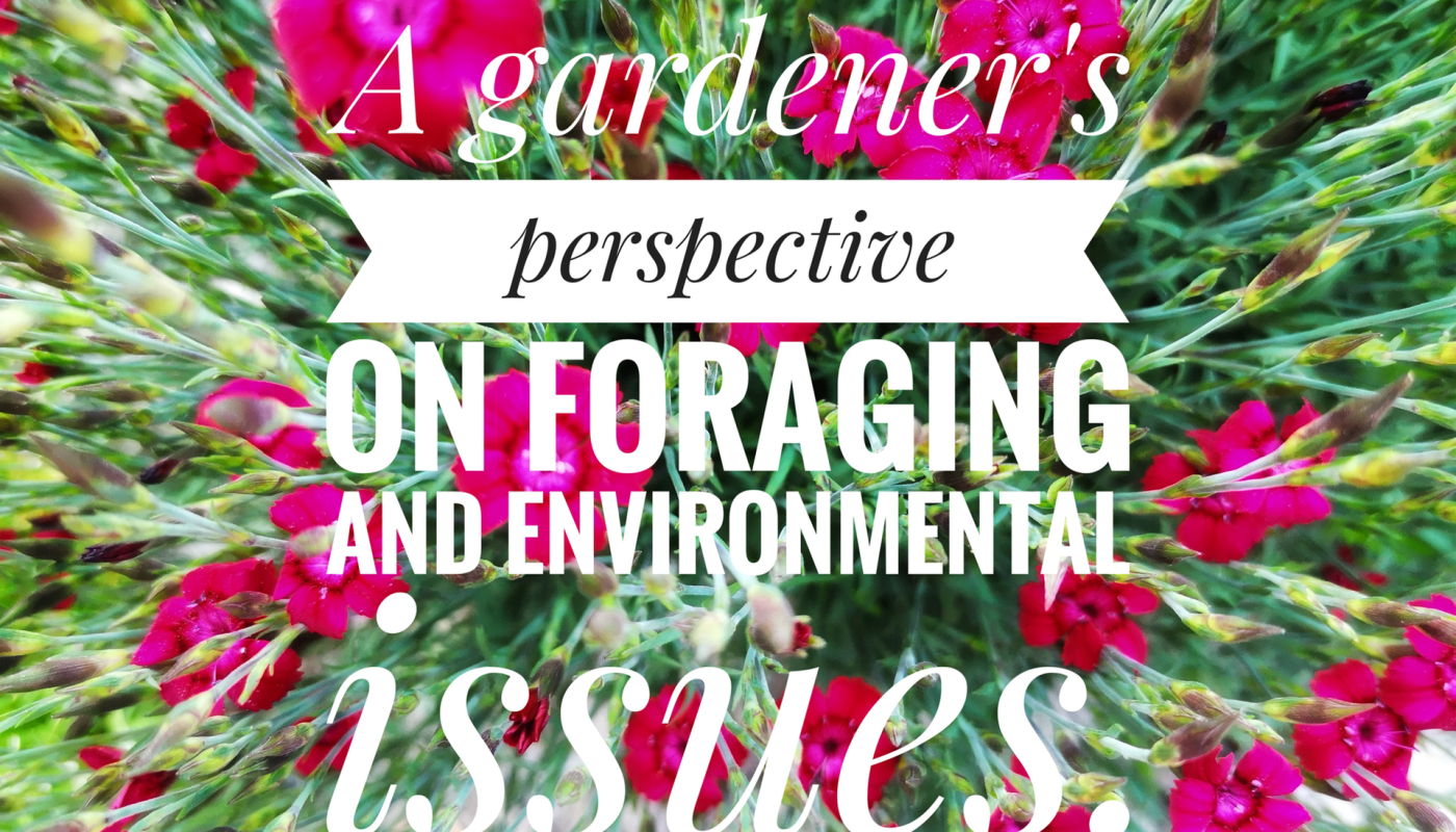 Gardeners Perspective - Urban Foraging