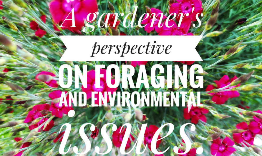 Urban foraging and environmental awareness – a gardener’s perspective