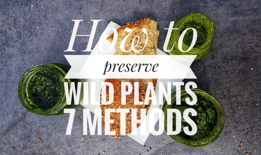 7 Methods on how to preserve wild plants