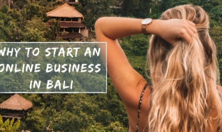 Online Business in Bali