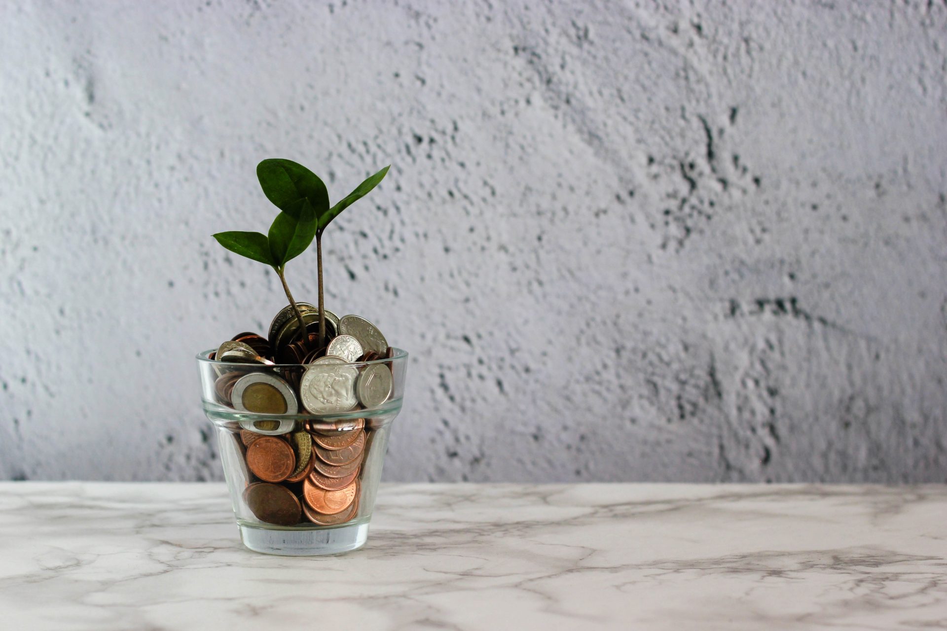  A glass jar filled with pennies and two small plants growing out of it, symbolizing the growth of savings over time with consistency.