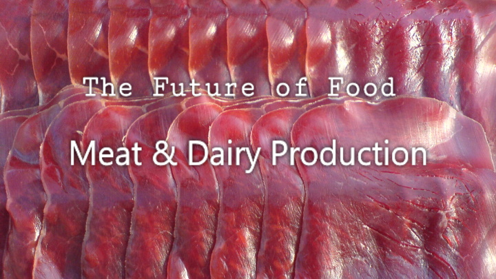 The Future of Food – Meat & Dairy Production