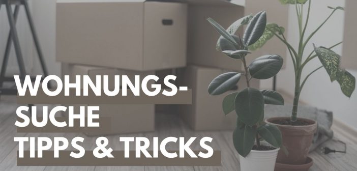 5 Tipps Für Eine Erfolgreiche Wohnungssuche