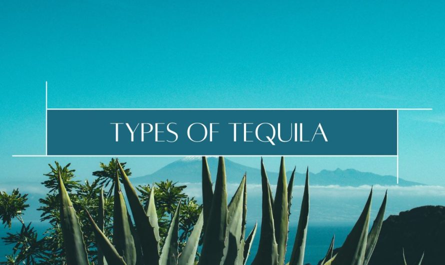 5 types of Tequila?