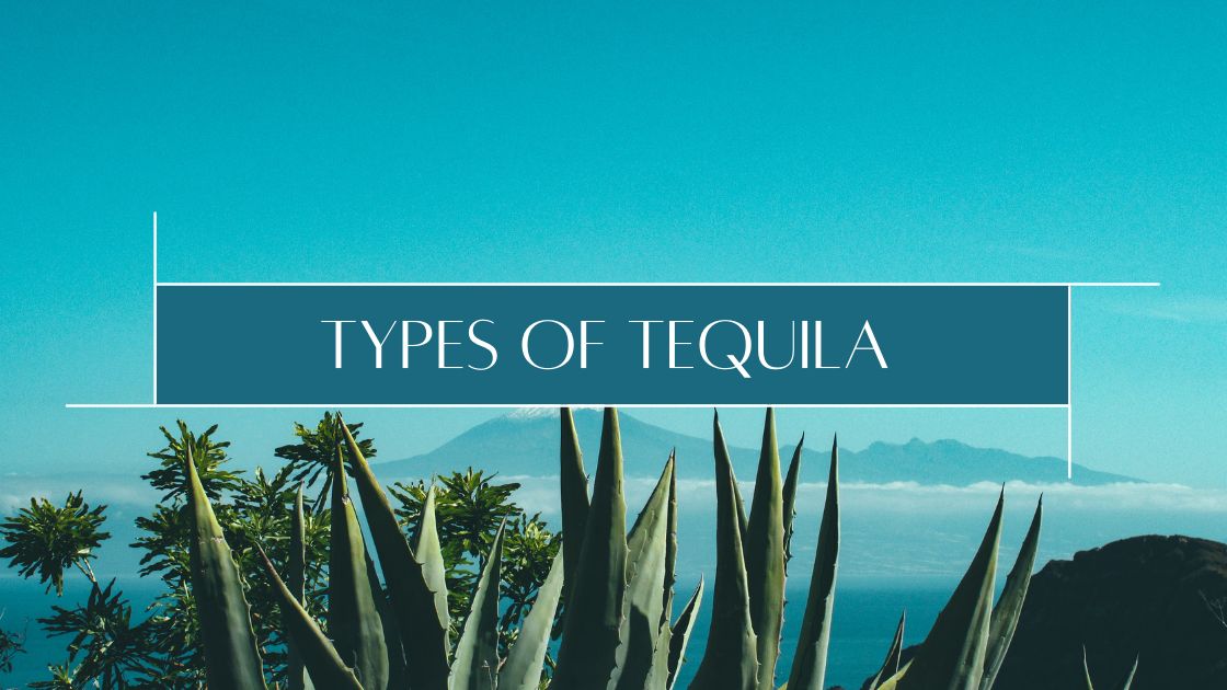 5 Types of Tequila and How They're Made