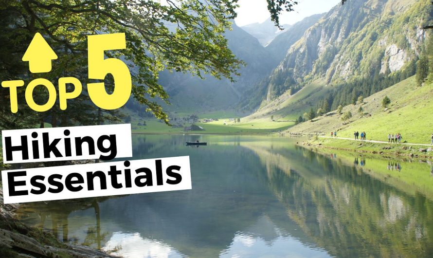 TOP 5 things to take for a day hike