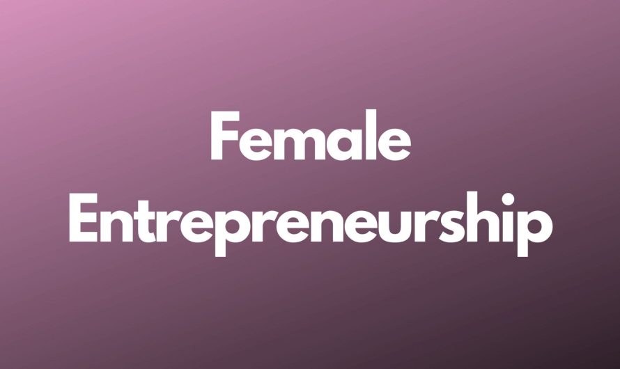Meet The Female Entrepreneurs