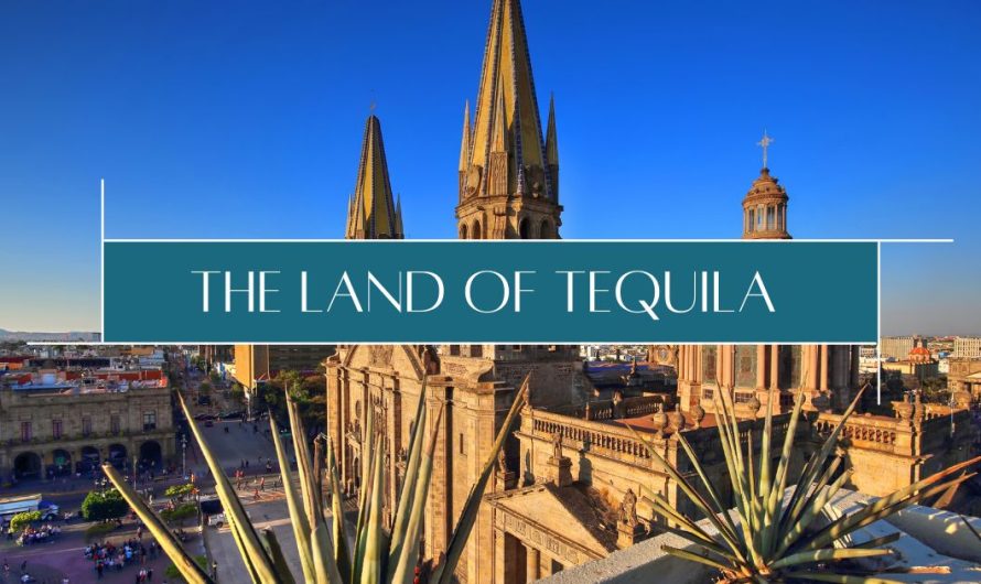 Jalisco, the land of tequila
