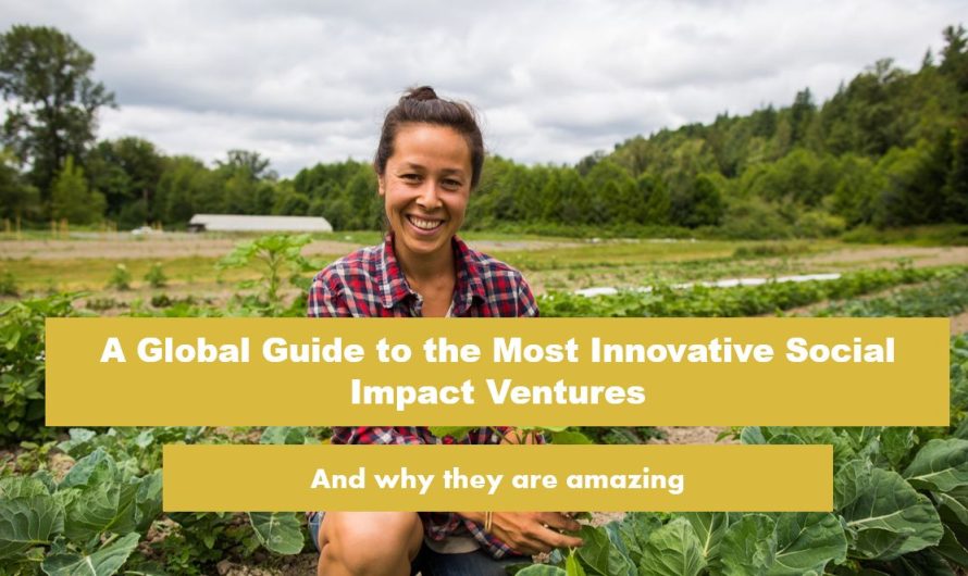 A Global Guide to the Most Innovative Social Impact Ventures