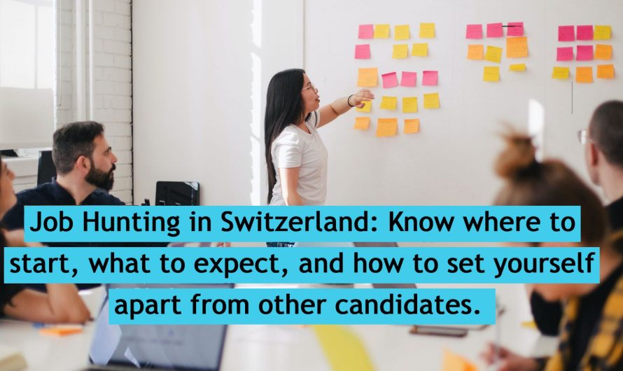 Cross-Cultural Work Environment in Swiss Companies