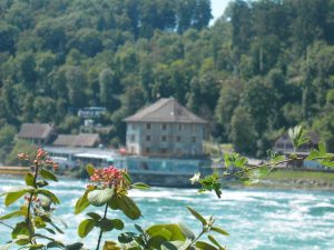 Flores y Construcciones en las cascadas de Rheinfall