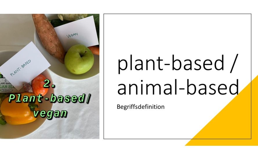 Der Unterschied zwischen “plant-based” und “vegan”