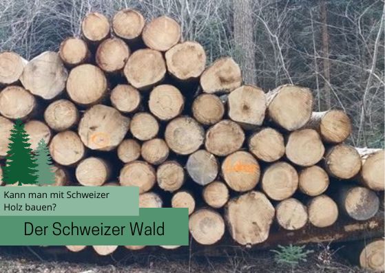 Kann man mit Schweizer Holz bauen?