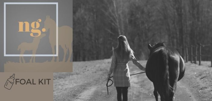 Foal Kit Banner, Next Gen series