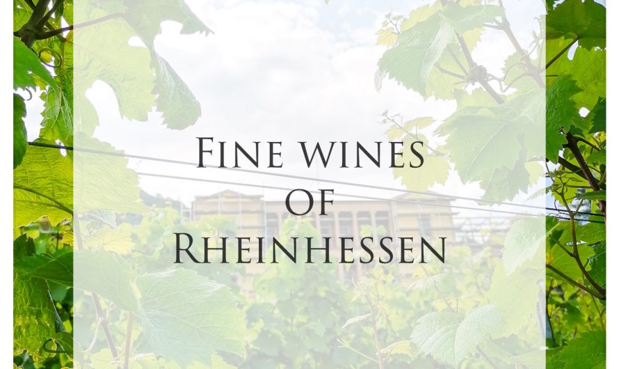 A sweet and tasty journey to Rheinhessen, the cradle of European viticulture