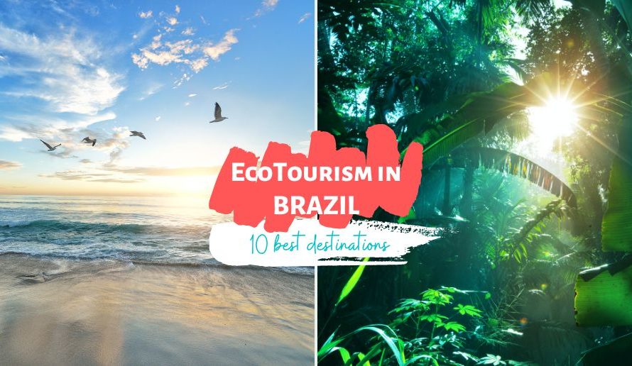 Eco-tourism: first things first!