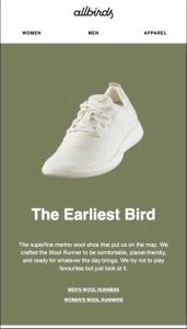 Email from Allbirds with a white shoe
