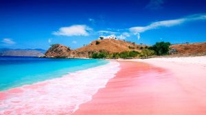 pink beach Komodo Island 