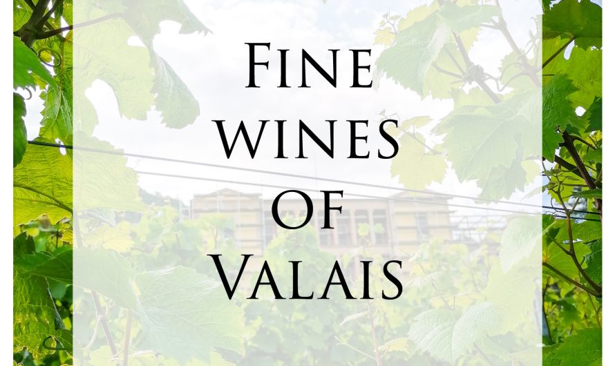 Auf den Spuren der Weine im Wallis – On the tracks of the wines in Valais