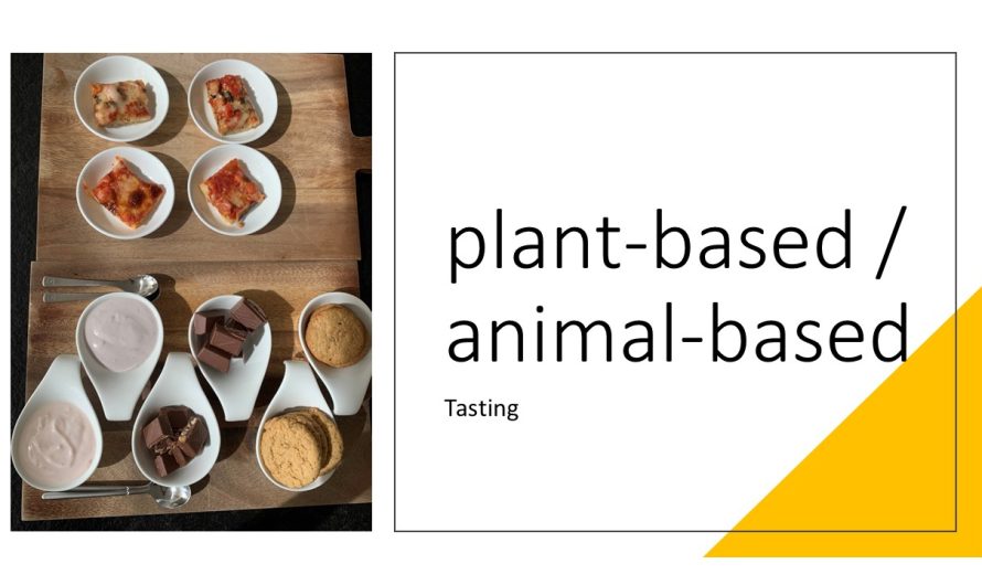 Tasting: plant-based vs animal-based
