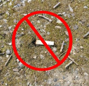 Zigarettenstummel auf Waldboden verboten