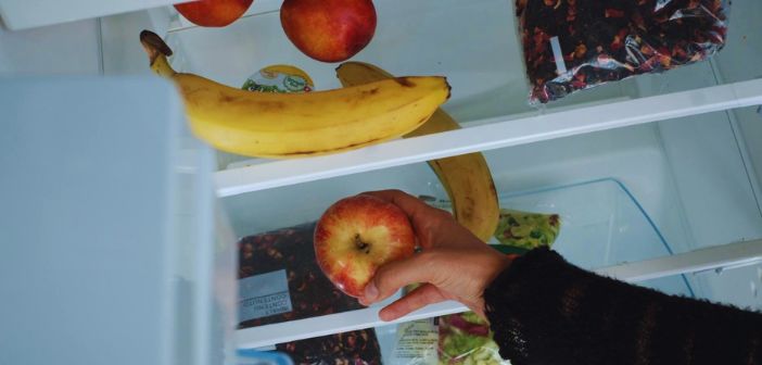 Fridge and hand