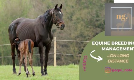 mare and foal equine management tips