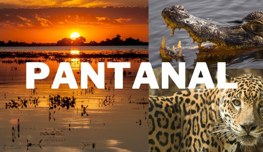 Eco-tourism in Brazil: Pantanal