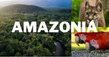 Eco-tourism in Brazil- Amazonia