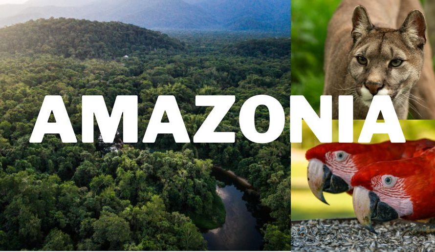Eco-tourism in Brazil- Amazonia