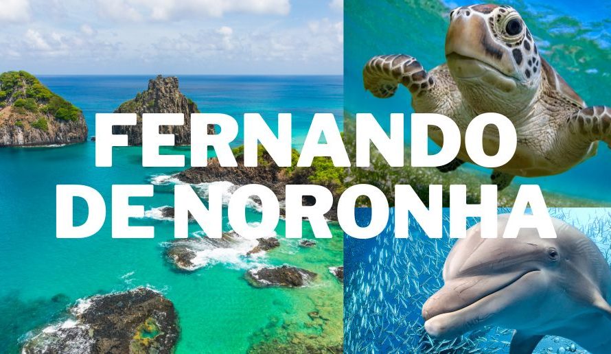 Eco-tourism in Brazil: Fernando de Noronha